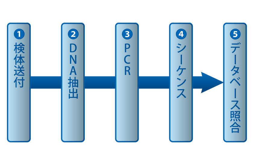 検査手順